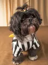 ref.webp