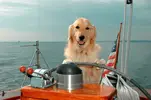 upload_2016-4-23_23-41-5.webp