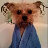 7b1fe60238040f2974b2eb58109a2cd3.webp
