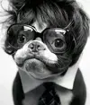 435bccdbe885116bdacb07470a96d10f.webp