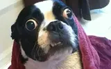 4d93575d579aa853874ba789c2bd364f.webp