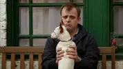 dog2.webp