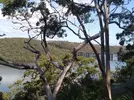 Georges River 2.webp