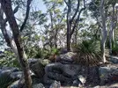 Georges River 3.webp