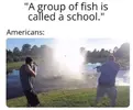 FB_IMG_1683649650627.webp