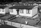 lineside road bellevale 1953.webp