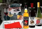 1687613723367.webp