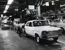 Escort.webp