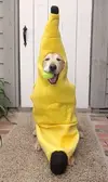 0e4d69f33b5b900edd588c467929df7c.webp