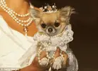 upload_2016-4-30_21-51-42.webp
