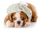 upload_2016-5-1_8-51-51.webp