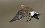 20071022060742.webp