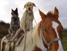 9acc4e329a106c3577ced4d078d0b6ee.webp