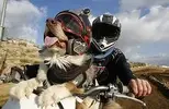 images.webp