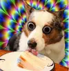 upload_2016-5-5_22-17-32.webp