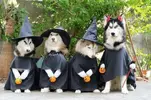 upload_2016-5-5_23-18-49.webp