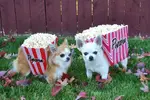 upload_2016-5-7_12-4-0.webp
