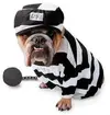 index.webp