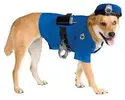 images.webp