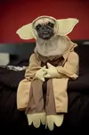 star-wars.webp