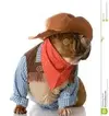images.webp