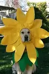 upload_2016-5-11_16-49-37.webp