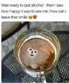1691157591721.webp