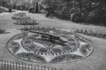 floral clock.webp