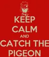 keep-calm-and-catch-the-pigeon.webp