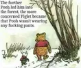 Winnie The Pooh.webp