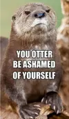 funny-otter.webp