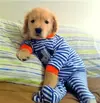upload_2016-5-16_6-14-27.webp