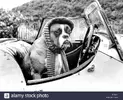 boxer-dog-dressed-up-for-a-trip-in-the-sports-car-1980-D02M71.webp