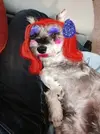 pepper-drag-queen-e1402195262824.webp