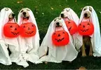 images.webp