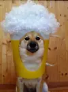 64566445b564b0236e4123dced981011.webp