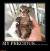 370178b3e67c2956e1ad3d1f0aa49f97.webp
