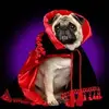 51cb10048c123daeea14da786730e175.webp