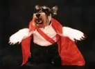 DraculaDog.webp