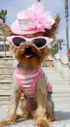 a93070e4920ebb71a5eef06543012ad8.webp