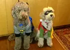 Batman-and-Robin.webp