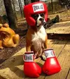 bestdogscostume1.webp