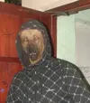 gangster_dog_2.webp