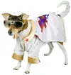 38007-Elvis-Dog-Costume-large.webp