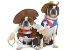 Animal-Dress-Up-Da_3164498k.webp