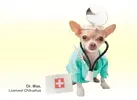 DrMax_landing_main_creative.webp