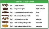 BristolStoolChart.webp