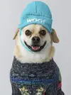 635544118071610143-phxdc5-6idswhlcvoh1lcmhkhrx-original.webp