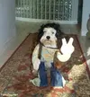 cool-picture.webp