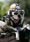 639c23620aeba5e3e7e24e3d5b0b107c.webp